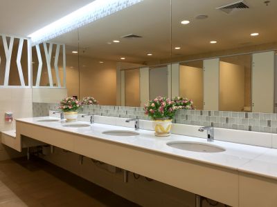 Smart Vanity Area